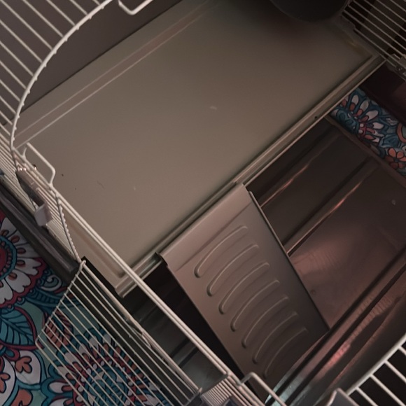 Animal cage (small creatures) hedgehogs, hamsters guinea pigs etc. Must pick up! - Picture 4 of 8